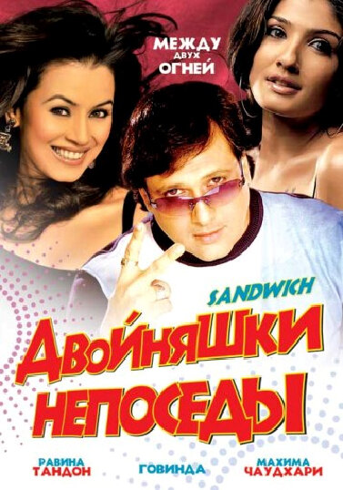 Двойняшки непоседы (2006) постер