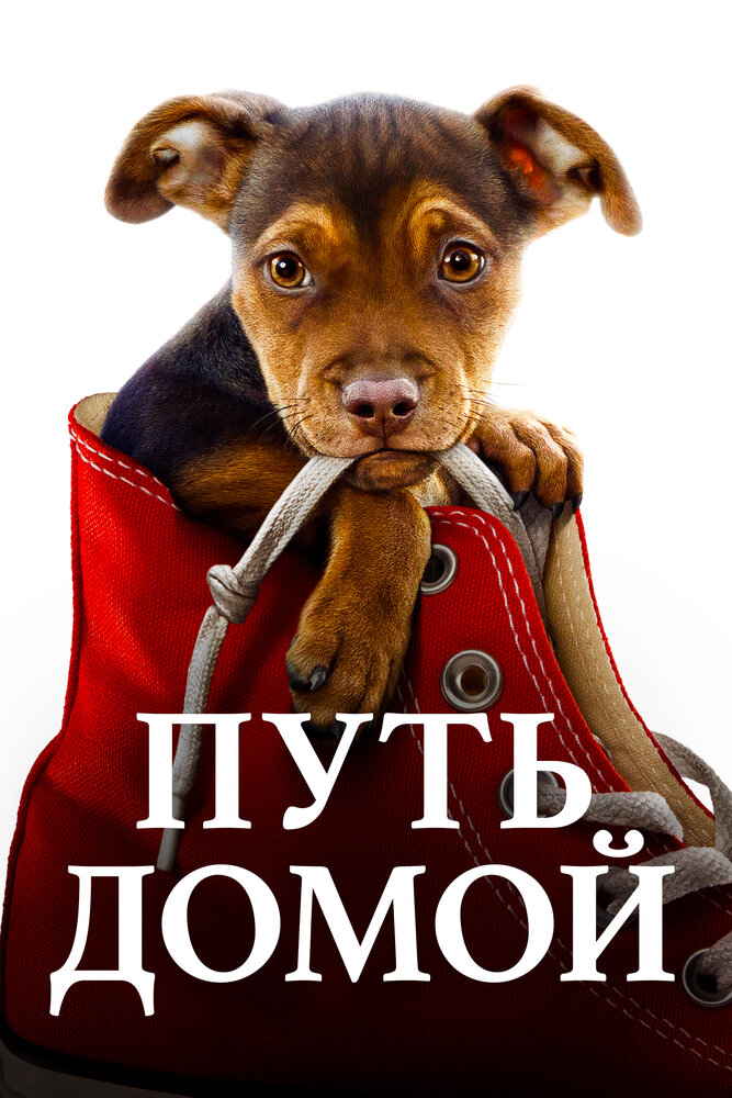 Путь домой (2019) постер