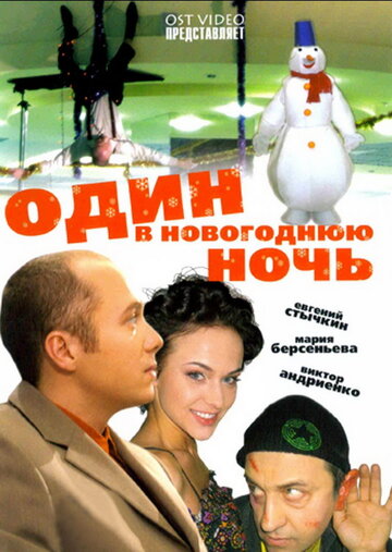 Один в новогоднюю ночь (2006)