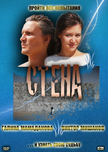 Стена (2008)